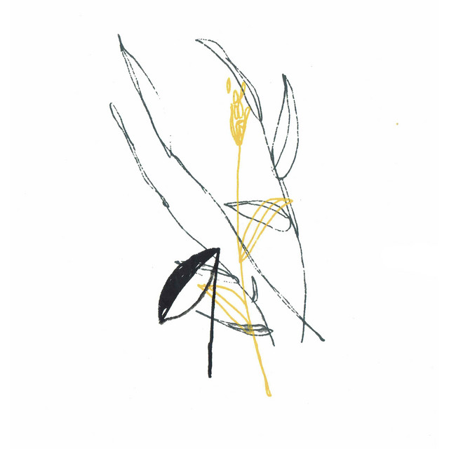 Slow Spark, Soft Spoke (Extended Edition) cover art