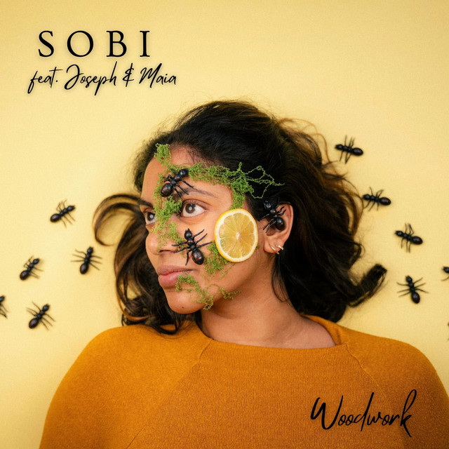 Обкладинка: Woodwork — Sobi