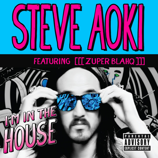 激レアSTEVE AOKI／I'M IN THE HOUSE スティーブアオキ I'm In the House - song and lyrics by Steve Aoki, Zuper Blahq