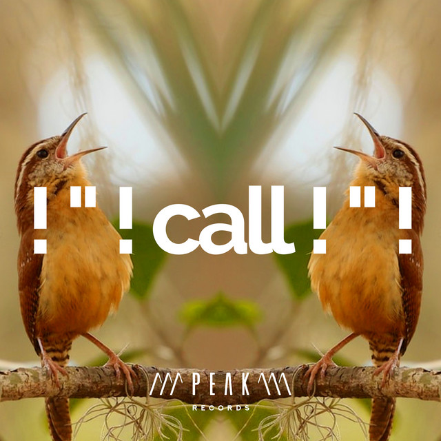 ! " ! call ! " ! cover art