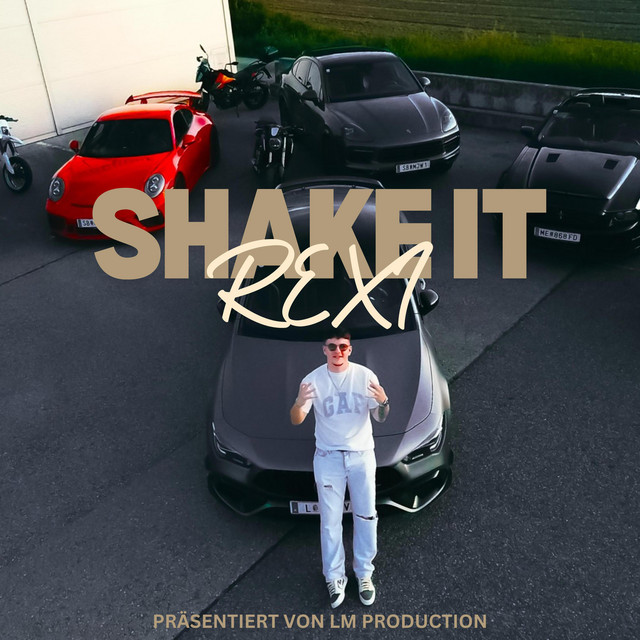 SHAKE IT cover art