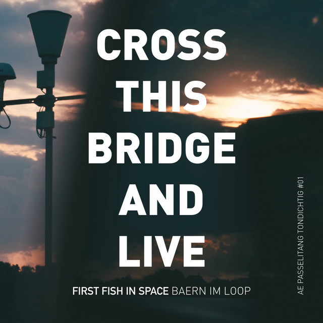 Cross This Bridge and Live - song and lyrics by First Fish In Space ...