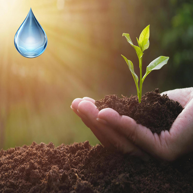 Soil cover art