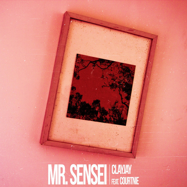 Mr. Sensei