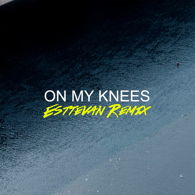 On My Knees - Remix