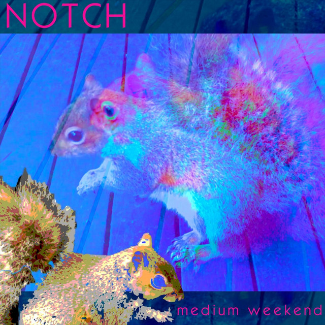 Medium Weekend