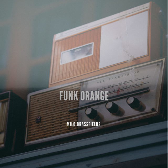Funk Orange cover art