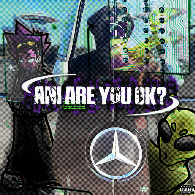 ani are you ok? cover art