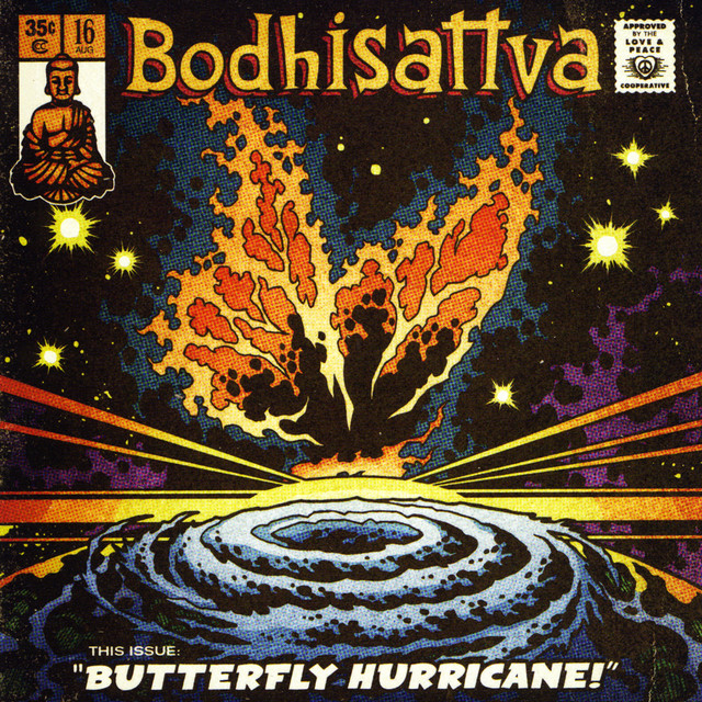 Butterfly Hurricane cover art