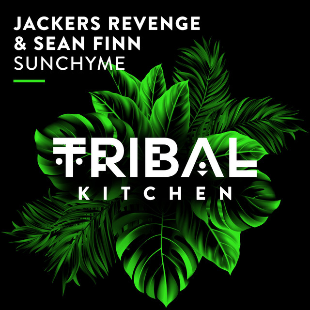 Sunchyme - Extended Mix album art
