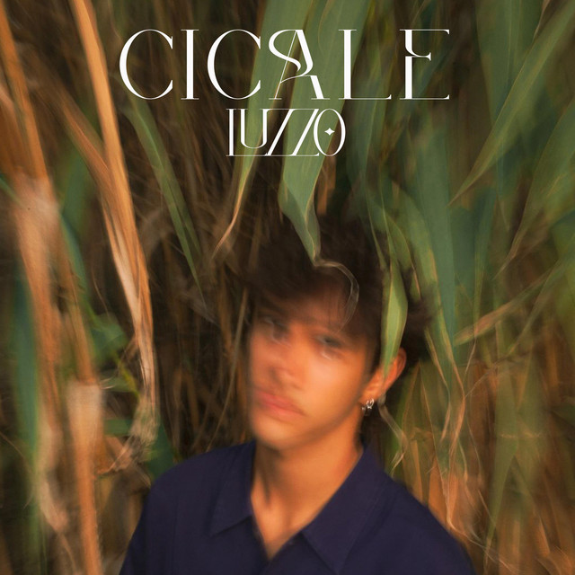 Cicale cover art