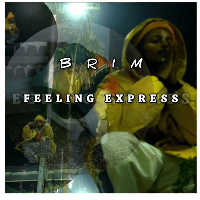 Feeling Express cover art
