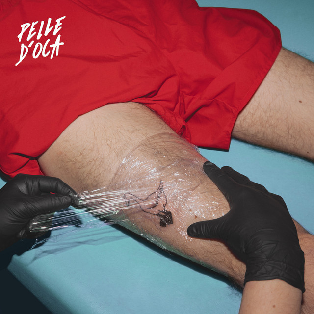 Pelle d'oca cover art