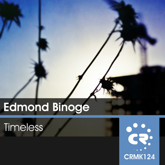 Timeless cover art