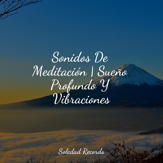 Sonidos De Meditación | Sueño Profundo Y Vibraciones