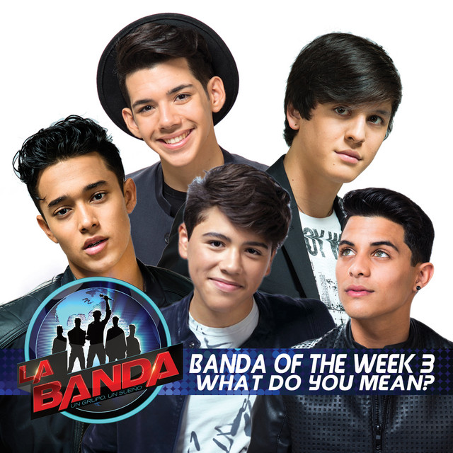 What Do You Mean? - La Banda Performance
