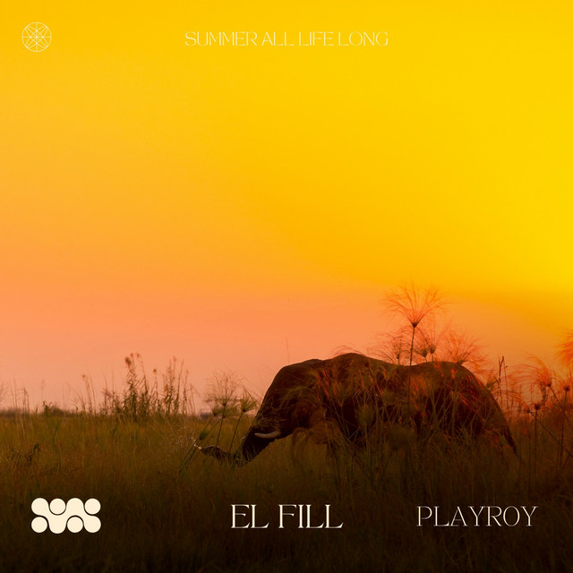 PLAYROY