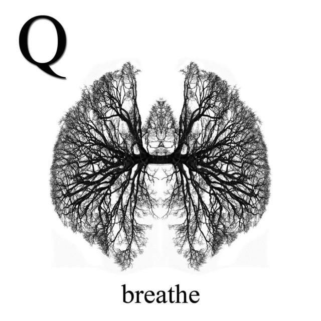 Q