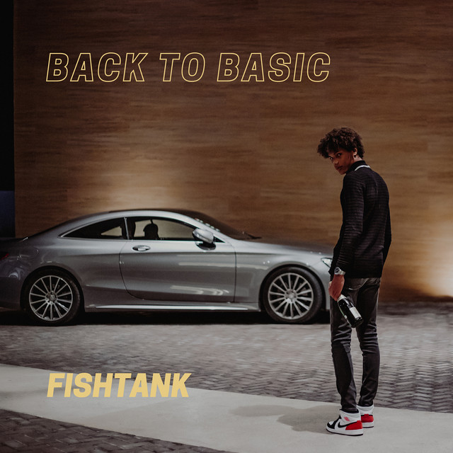 Back to Basic cover art