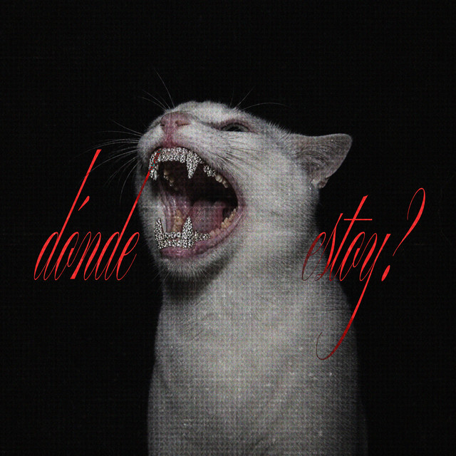 dónde estoy?