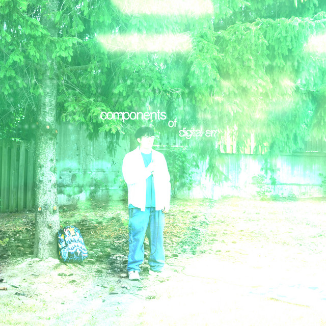components of digital err cover art
