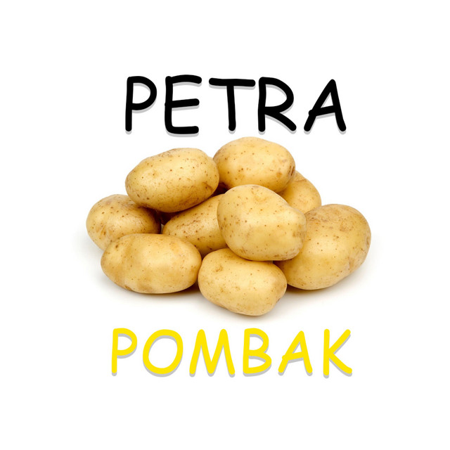 PETRA