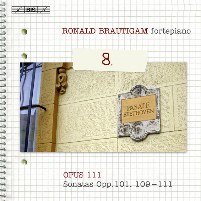 Beethoven: Piano Works (Complete), Vol. 8 cover art