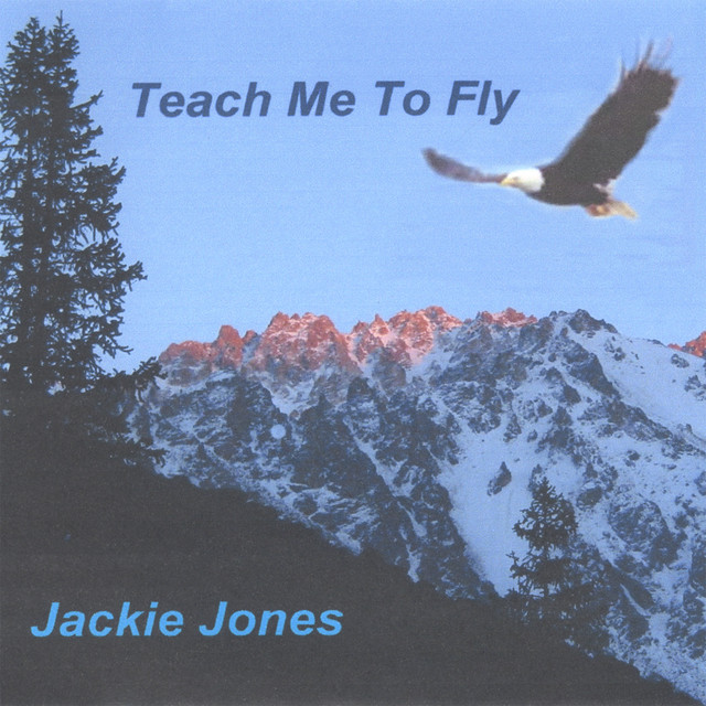 Teach Me To Fly cover art