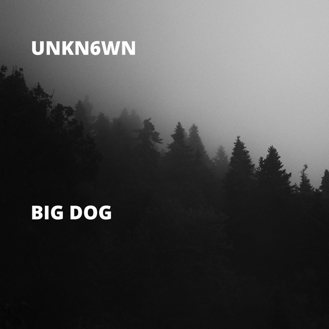 Big Dog