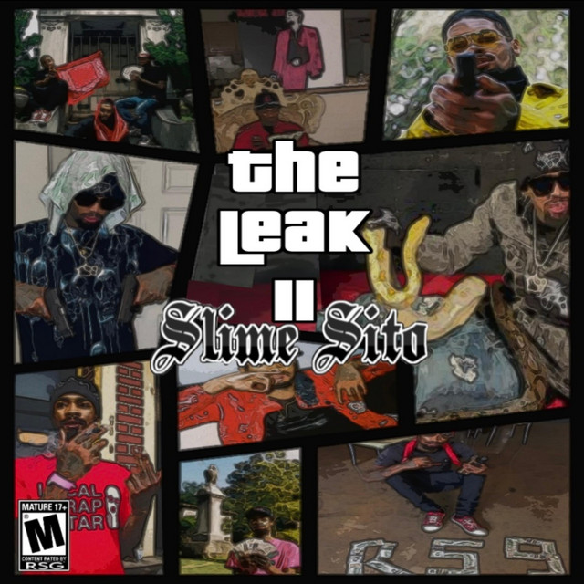 The Leak 2 cover art
