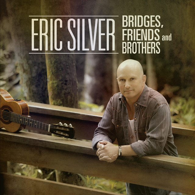 Bridges, Friends and Brothers cover art