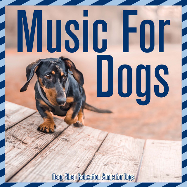 Music For Dogs: Deep Sleep Relaxation Songs for Dogs cover art