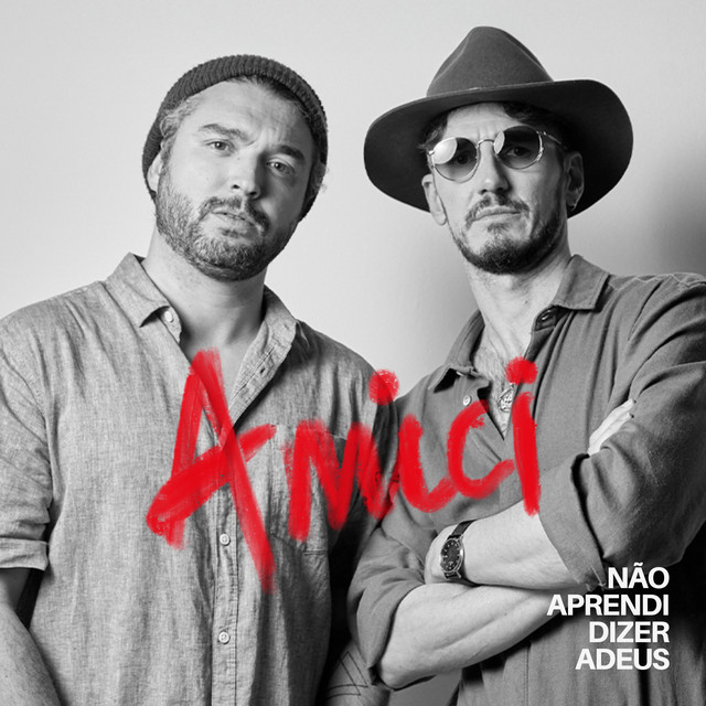 Não Aprendi Dizer Adeus cover
