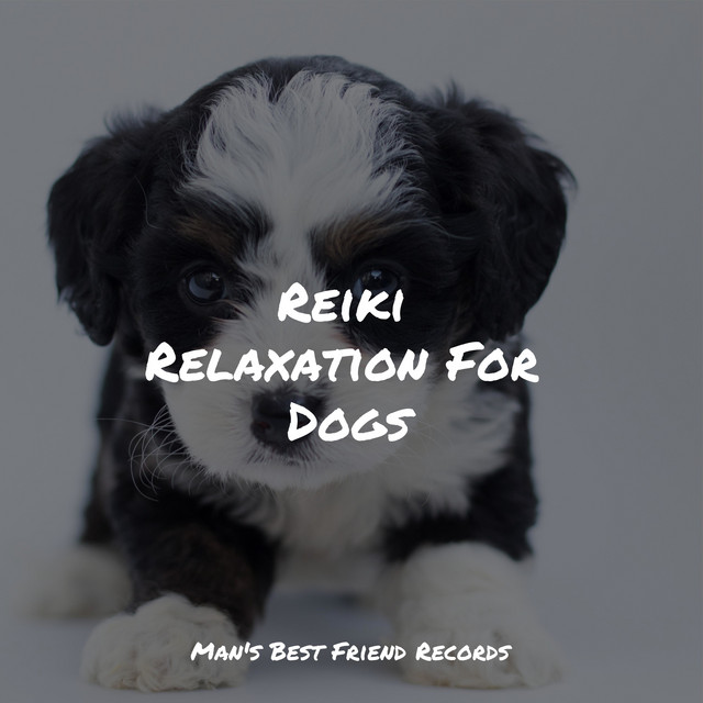 Harmonic Songs | Deep, Restful Sleep For Dogs cover art