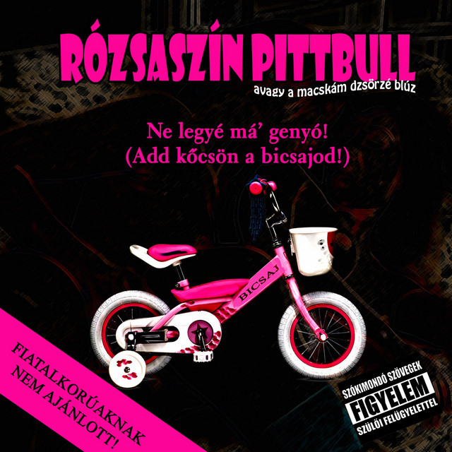 Ne Legyé Má' Genyó (Add Köcsön A Bicsajod) cover art