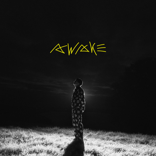Awake cover art