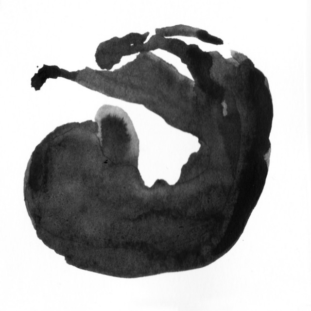 Controlled Perception cover
