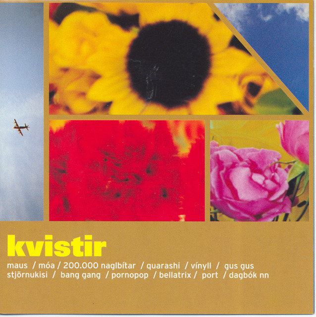 Kvistir cover art