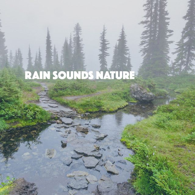 Rain Sound: Soaking Wet Clouds - song and lyrics by Nature Sounds XLE ...
