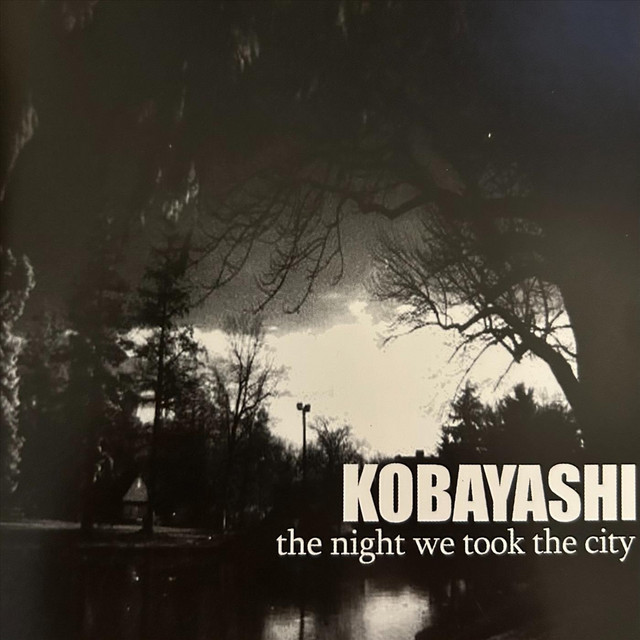 The Night We Took the City cover art