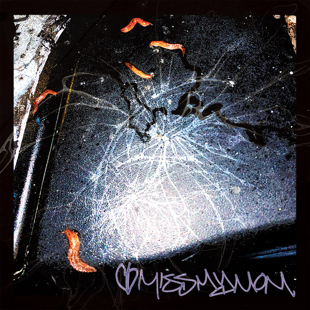 IMISSMYMOM cover art