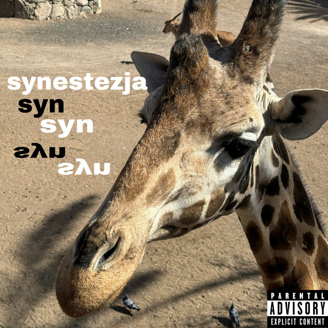 synestezja cover art