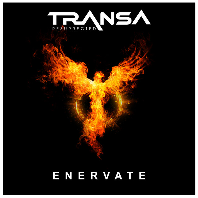 Enervate - DJ's At Work Remix cover art