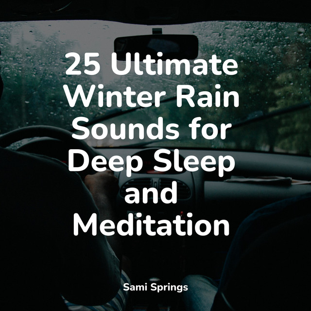 25 Ultimate Winter Rain Sounds for Deep Sleep and Meditation - Album by ...
