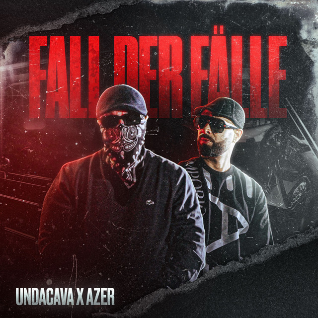 Fall der Fälle cover