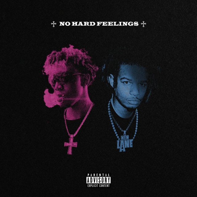 No Hard Feelings cover art