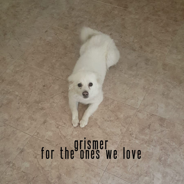 For The Ones We Love cover art