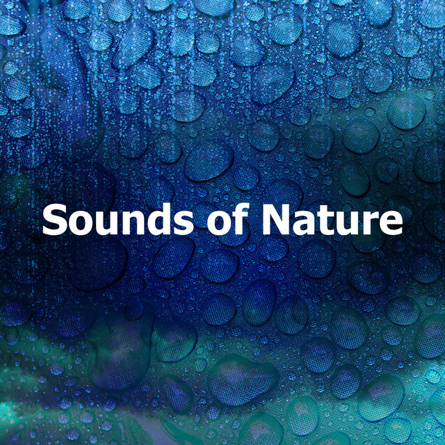 Sounds of Nature - Album by The Sound Of The Rain | Spotify