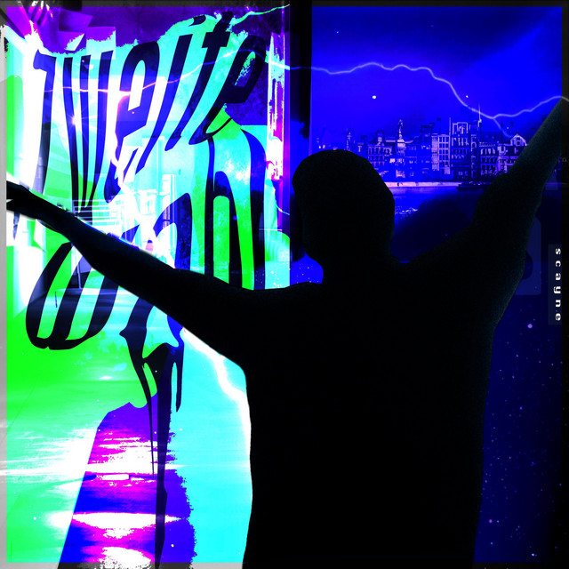 Zweite Wahl cover art