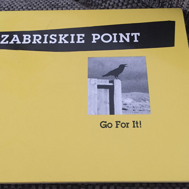 Zabriskie Point Photo